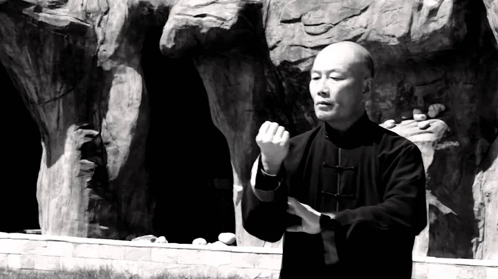 hen style Tai Chi - master Zhang Dong Hai -
