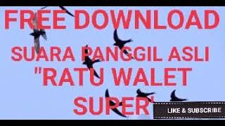 FREE DOWNLOD SUARA PANGGIL RATU WALET SUPER.MP3.