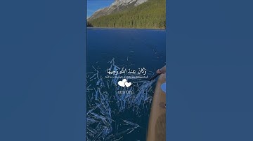 وكان عند اللَّه وجيها|محمد اللحيدان #قرآن_کریم#قرآن#اسلام#اسلاميات#سورة الاحزاب#quran#محمد_اللحيدان