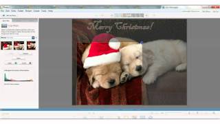 Picasa Tips on Editing a Picture
