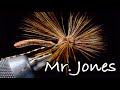 Mr jones cranefly dry fly tying instructions by charlie craven