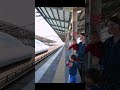 新幹線通過に喜ぶ外国人家族 #Shorts