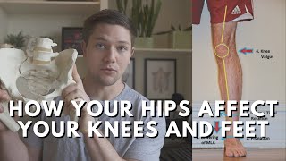 How Your Hips Influence Your Leg, Knee, & Foot  Beginner Biomechanics