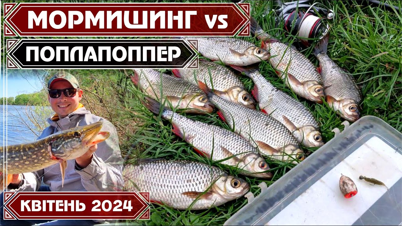 ПОПЛАПОППЕР чи НАНОДЖИГ? Що ЕФЕКТИВНІШЕ НАВЕСНІ? ЖОР КРАСНОПІРКИ! СУДАК ...