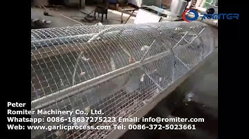 Automatic Garlic Seeds Size Sorting Grading Machine