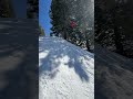 Spring trains  #skiing