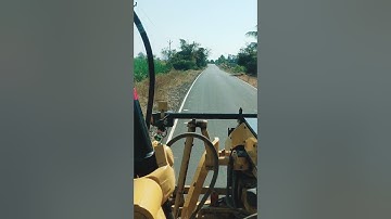 Cat grader / #shots #youtubeshorts #shortvideo