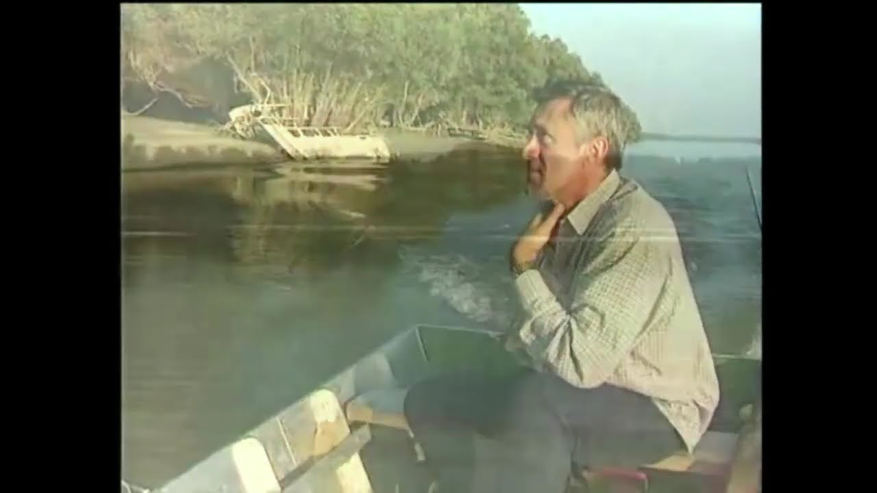 Bokor Károly - A süllő horgászata.