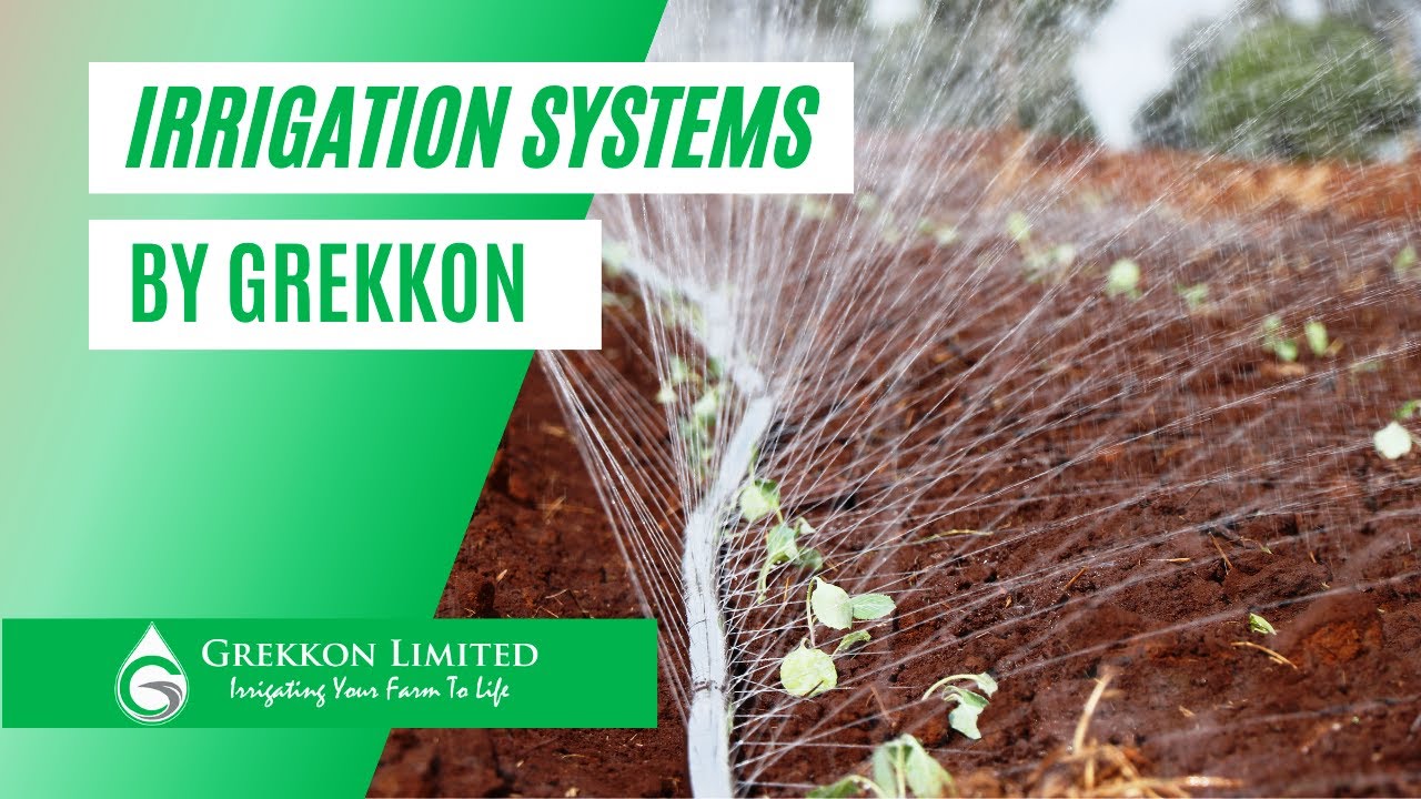 Irrigation in Kenya by Grekkon Limited YouTube