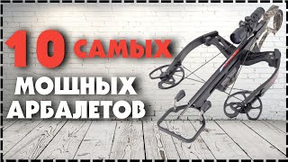 Топ 10 Самый Мощный Арбалет В Мире