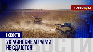 🔴 Фермерские хозяйства в Харьковской области возрождаются: усилия граждан