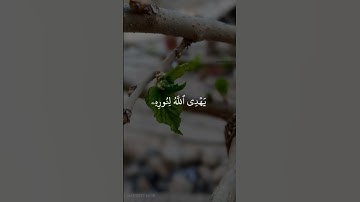 قران 🎧  #قران #قران_كريم #تلاوة_هادئة #لا_اله_الا_الله #محمد_رسول_الله #اذكروا_الله #تلاوات #قران