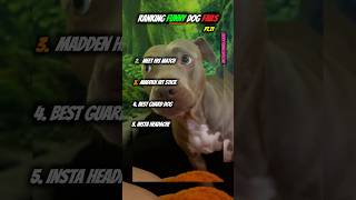 Ranking Funny Dog Fails Pt.11 #fyp #shorts #funny #dog