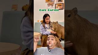 Dev Kemi̇rgenleri̇n Olduğu Kafeye Gi̇tti̇m Ucretsiz Reklam