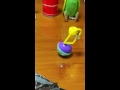 【鳥のおもちゃ】激闘?!ローリーポーリーみずよし貿易