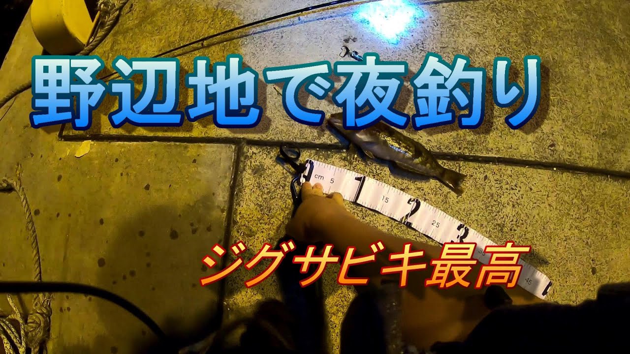 ジグサビキで釣れない３つの理由 誰でも釣れます うおとぶろぐ