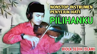 NONSTOP INSTRUMEN (PENYEJUK HATI) | COVER BIOLA SEDIH