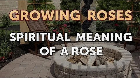 Jaké jsou druhy a tvary růží?