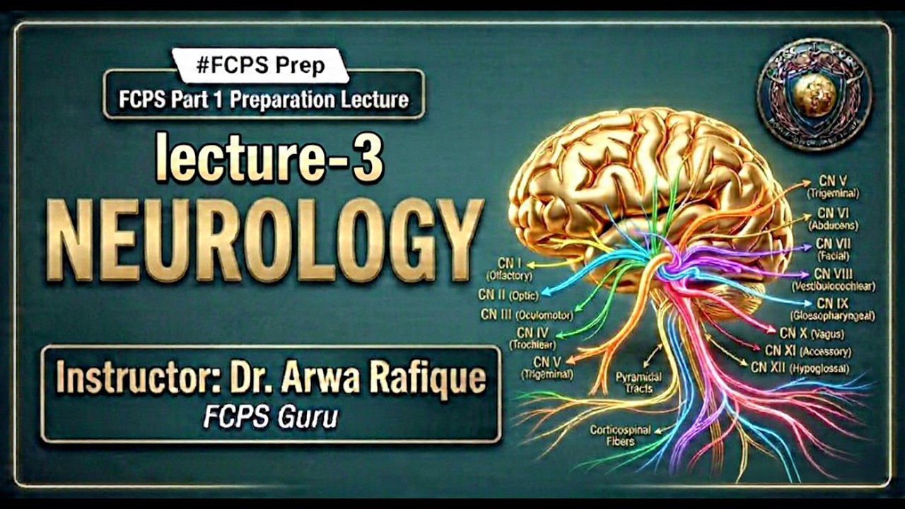 Neurology Lecture 3 - YouTube