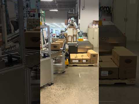 Custom box tipper conveyor for a cobot palletizer #cobot #palletizing #automation