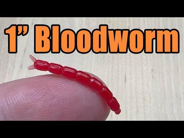 Bloodworm Micro Fishing Bait - Dropshot For Bass and Panfish Footage Too! 