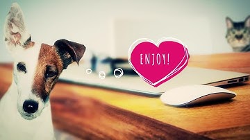 Playful Speech Bubbles Premiere Pro Templates