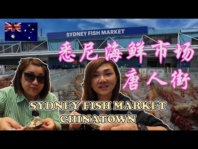 Sydney fish market and Chinatown | 悉尼海鲜市场 . 唐人街 | DARLING HARBOUR | PARKROYAL | AUSTRALIA class=