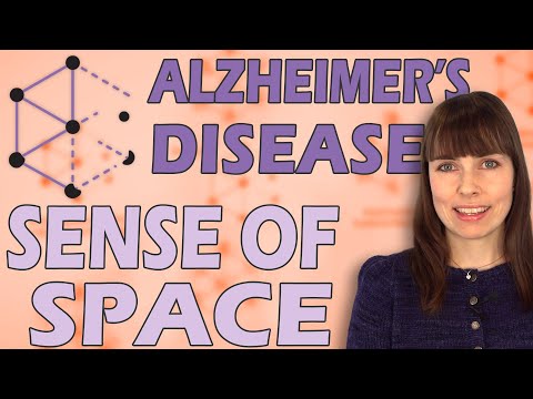 Alzheimer-forskning 1: Stedsans i Alzheimers sykdom