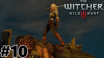 The Witcher 3: Wild Hunt - Out of the Shadows - Playthrough Part 10
