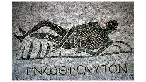Nosce Te Ipsum
