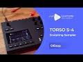 Torso S-4. Обзор гранулярного сэмплера