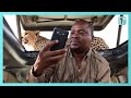 Incredible Cheetah Selfie In Serengeti