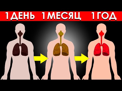 Что Произойдет С Вашим Телом, Если Вы Бросите Курить На 1 Час, 1 День, 1 Месяц И 1 Год