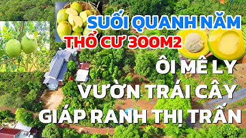 Chị Ba cần tiền gấp bán vườn trái cây, suối quanh năm, có thổ cư giáp thị trấn ở BRVT