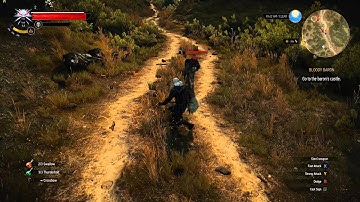 The Witcher 3 4K Ultra Graphics Native 4K 2160p GTX 970 GSYNC Test