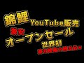 【第1回】遼河鯉庵クオリティ激安オープンセール錦鯉販売