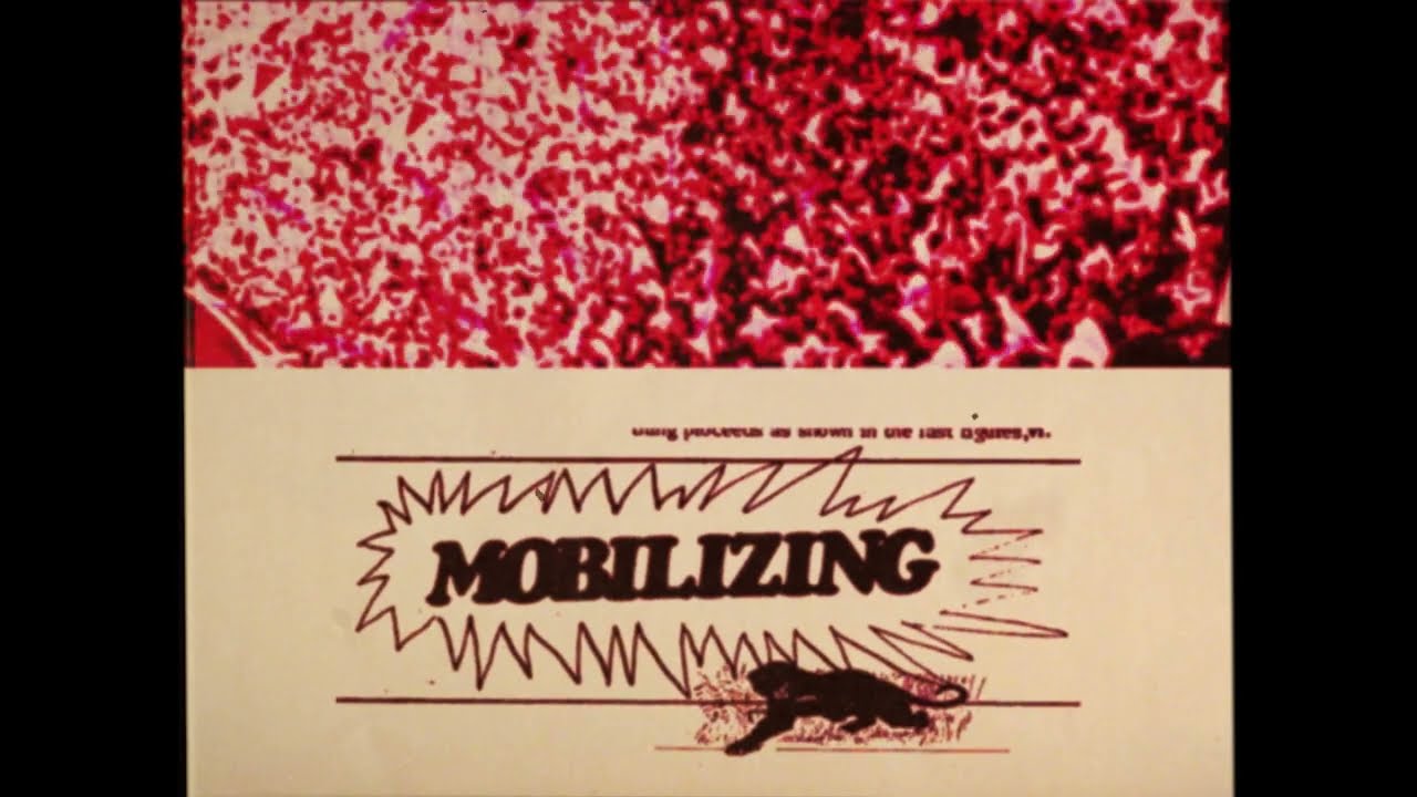 BIG NOTHING: THE GO! TEAM