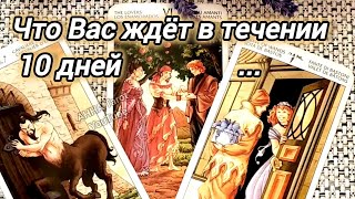 🌼ЧТО ВАС ЖДЕТ В ТЕЧЕНИИ 10 ДНЕЙ...🍀♥️ Гадание Таро