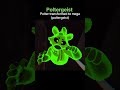 Which one do you like better Polter or poltergeist #vrchat #vr #polter #poltergeist #2026