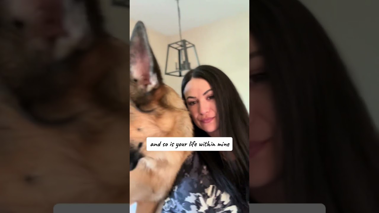 A Woman's Heartfelt Ode to Her Loyal German Shepherd: An Unconditional Love Story