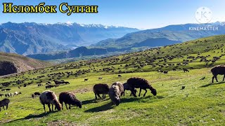 картинка: 14-Кисим Жайлов Жиргатол финал урра 👍👍🇹🇯✅🫡🐑🌨️☃️2024 г.
