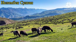 14-Кисим Жайлов Жиргатол финал урра 👍👍🇹🇯✅🫡🐑🌨️☃️2024 г.