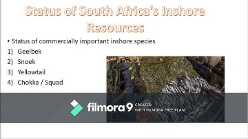 fisheries Industry - Tragedy of the Commons