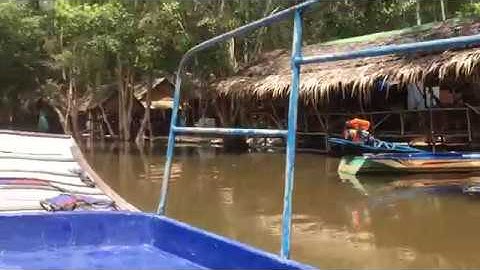 VÀO TRÀM CHIM. = Nhạc: Đừng ghét tôi.(Don