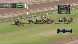 Vidéo de la course PMU PREMIO HARAS SAN IGNACIO