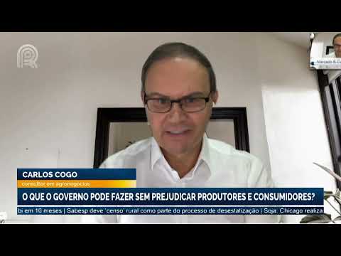 Arroz x inundações: o que o governo pode fazer sem prejudicar produtores e consumidores?