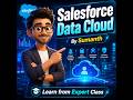 Salesforce Data Cloud Demo By Sumanth