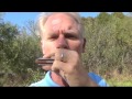 nasty blues harp