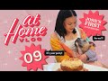 Dog-Safe Cake + Gift Haul 🐶 Josie's Gotcha Day Anniversary! | At Home Vlog 9