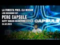 La foresta pres eli nissan  live recorded set  perc capsule